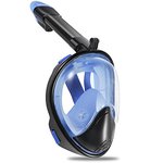 Vaincre 180-degree Snorkel Mask