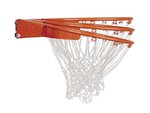 Lifetime 71524 XL Height Adjustable Portable Basketball System, 54 Inch Shatterproof Backboard