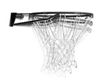 Lifetime 1531 Portable Basketball System, 48 Inch Shatterproof Backboard