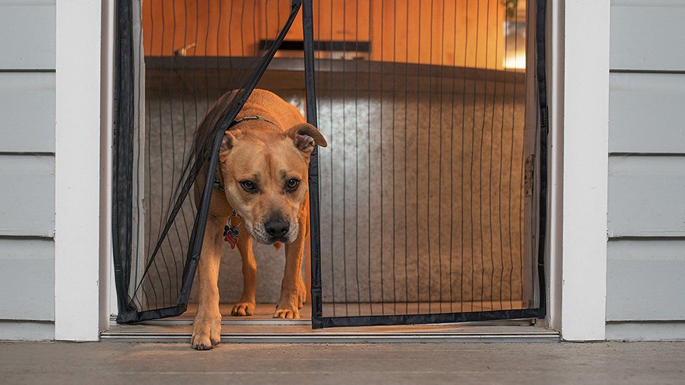 5 Best Screen Doors for Home to keep bugs and insects out Review and Buying Guide