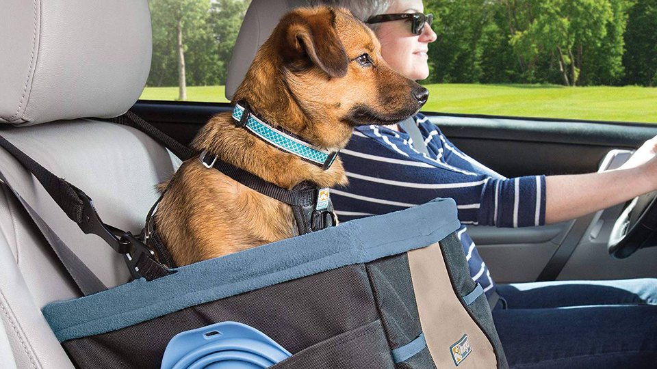 Best Dog Car Seats Reviews