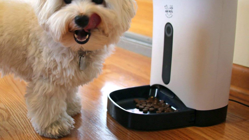 Best Automatic Pet Feeders to buy in 2018 — Buying Guide