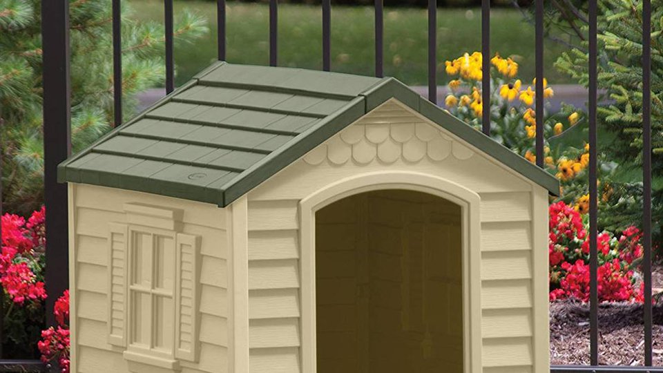 Best Dog Houses for Winter Reviews