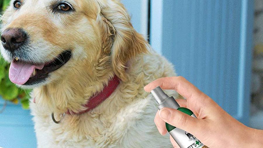 Best Flea Spray for Dogs in Reviews